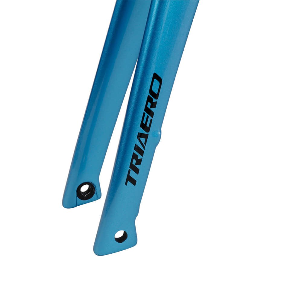 ICAN UCI road bike disc frame A9